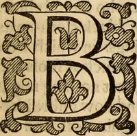 Picture 21 of 42 from De bello belgico : the history of the Low-Countrey warres (1650), leaf 98