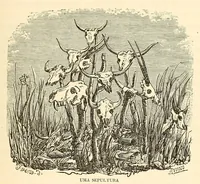 Picture 10 of 15 from De Benguella ás terras de Iácca; descripção de uma viagem na Africa central e occidental. Comprehendendo narrações, aventuras, e estudos importantes sobre as cabeceiras dos rios Cu-nene, Cu-bango, Lu-ando, Cu-anza e Cu-ango, e de grande parte do curso dos dois ultimos; alem da descoberta dos rios Hamba, Cauali, Sussa e Cu-gho, e larga noticia sobre as terras de Quiteca, N'bungo, Sosso, Futa, e Iácca (1881), leaf 269