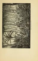 An illustration from De Benguella ás terras de Iácca; descripção de uma viagem na Africa central e occidental. Comprehendendo narrações, aventuras, e estudos importantes sobre as cabeceiras dos rios Cu-nene, Cu-bango, Lu-ando, Cu-anza e Cu-ango, e de grande parte do curso dos dois ultimos; alem da descoberta dos rios Hamba, Cauali, Sussa e Cu-gho, e larga noticia sobre as terras de Quiteca, N'bungo, Sosso, Futa, e Iácca (1881)