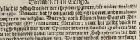 An illustration from De beschryvinghe vant groot ende vermaert coninckrijck van Congo, ende de aenpalende oft ommegheleghen landen, met verclaringhe van veel sonderlinghe saken, ende gheschiedenissen vanden selfden coninckrijcke. ... (1596)