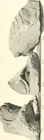 An illustration from Debod bis Bab Kalabsche (1911)