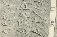 Picture 105 of 253 from Debod bis Bab Kalabsche (1911), leaf 128