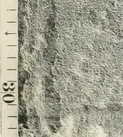 An illustration from Debod bis Bab Kalabsche (1911)