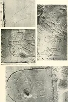Picture 114 of 253 from Debod bis Bab Kalabsche (1911), leaf 138