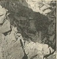Picture 115 of 253 from Debod bis Bab Kalabsche (1911), leaf 140