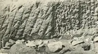 Picture 124 of 253 from Debod bis Bab Kalabsche (1911), leaf 152