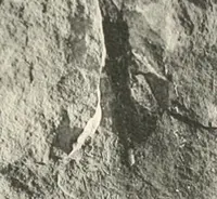 Picture 142 of 253 from Debod bis Bab Kalabsche (1911), leaf 168