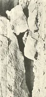 Picture 144 of 253 from Debod bis Bab Kalabsche (1911), leaf 168
