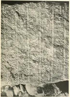 Picture 163 of 253 from Debod bis Bab Kalabsche (1911), leaf 196