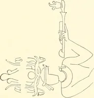 Picture 171 of 253 from Debod bis Bab Kalabsche (1911), leaf 210