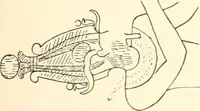 An illustration from Debod bis Bab Kalabsche (1911)