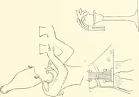 An illustration from Debod bis Bab Kalabsche (1911)