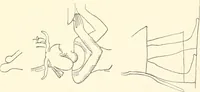 An illustration from Debod bis Bab Kalabsche (1911)