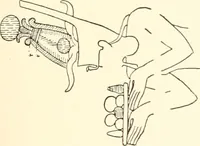 An illustration from Debod bis Bab Kalabsche (1911)