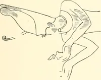 An illustration from Debod bis Bab Kalabsche (1911)