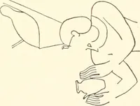 An illustration from Debod bis Bab Kalabsche (1911)
