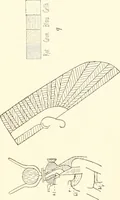 An illustration from Debod bis Bab Kalabsche (1911)