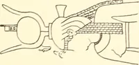 Picture 205 of 253 from Debod bis Bab Kalabsche (1911), leaf 230