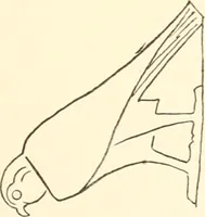 An illustration from Debod bis Bab Kalabsche (1911)