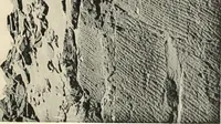 Picture 71 of 253 from Debod bis Bab Kalabsche (1911), leaf 92