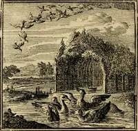 Picture 25 of 103 from De bykorf des gemoeds : honing zaamelende uit allerley bloemen : vervattende over de honderd konstige figuuren : met godlyke spreuken en stichtelyke verzen (1711), leaf 105