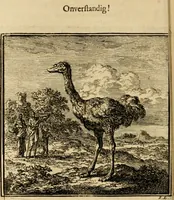 Picture 29 of 103 from De bykorf des gemoeds : honing zaamelende uit allerley bloemen : vervattende over de honderd konstige figuuren : met godlyke spreuken en stichtelyke verzen (1711), leaf 121