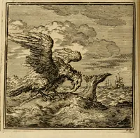 Picture 39 of 103 from De bykorf des gemoeds : honing zaamelende uit allerley bloemen : vervattende over de honderd konstige figuuren : met godlyke spreuken en stichtelyke verzen (1711), leaf 161