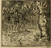 Picture 43 of 103 from De bykorf des gemoeds : honing zaamelende uit allerley bloemen : vervattende over de honderd konstige figuuren : met godlyke spreuken en stichtelyke verzen (1711), leaf 177