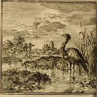 Picture 52 of 103 from De bykorf des gemoeds : honing zaamelende uit allerley bloemen : vervattende over de honderd konstige figuuren : met godlyke spreuken en stichtelyke verzen (1711), leaf 213