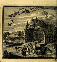 Picture 24 of 100 from De Bykorf des Gemoeds : Honing zaamelende uit allerley Bloemen (1711), leaf 105