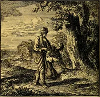 An illustration from De Bykorf des Gemoeds : Honing zaamelende uit allerley Bloemen (1711)