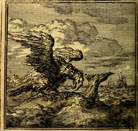 An illustration from De Bykorf des Gemoeds : Honing zaamelende uit allerley Bloemen (1711)