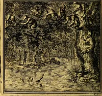 An illustration from De Bykorf des Gemoeds : Honing zaamelende uit allerley Bloemen (1711)