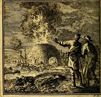 Picture 48 of 100 from De Bykorf des Gemoeds : Honing zaamelende uit allerley Bloemen (1711), leaf 201