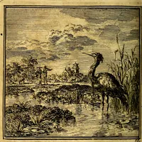 An illustration from De Bykorf des Gemoeds : Honing zaamelende uit allerley Bloemen (1711)