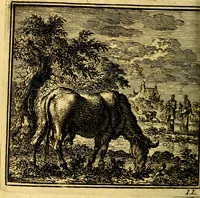 An illustration from De Bykorf des Gemoeds : Honing zaamelende uit allerley Bloemen (1711)