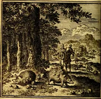 An illustration from De Bykorf des Gemoeds : Honing zaamelende uit allerley Bloemen (1711)