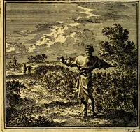 An illustration from De Bykorf des Gemoeds : Honing zaamelende uit allerley Bloemen (1711)