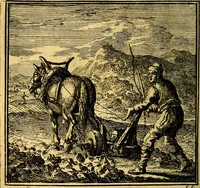 An illustration from De Bykorf des Gemoeds : Honing zaamelende uit allerley Bloemen (1711)
