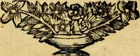 An illustration from De Bykorf des Gemoeds : Honing zaamelende uit allerley Bloemen (1711)