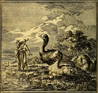 An illustration from De Bykorf des Gemoeds : Honing zaamelende uit allerley Bloemen (1711)