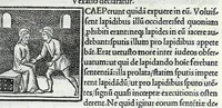 Picture 19 of 26 from Decachordvm christianvm : Ivlio II, pont. max. dicatvm (1507), leaf 355