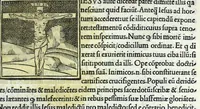 Picture 21 of 26 from Decachordvm christianvm : Ivlio II, pont. max. dicatvm (1507), leaf 421