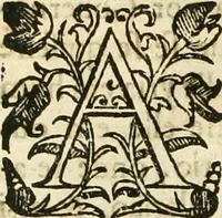 Picture 19 of 58 from Decada quarta da Asia : dos feitos que os portugueses fizeram na conquista e descobrimento das terras, & mares do Oriente : em quanto gouernaraõ a India Lopo Vaz de Saõ Payo, & parte de Nuno da Cunha (1602), leaf 135
