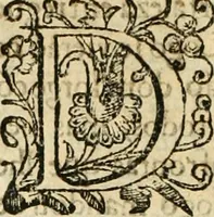 An illustration from Decada quarta da Asia : dos feitos que os portugueses fizeram na conquista e descobrimento das terras, & mares do Oriente : em quanto gouernaraõ a India Lopo Vaz de Saõ Payo, & parte de Nuno da Cunha (1602)