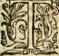 An illustration from Decada quarta da Asia : dos feitos que os portugueses fizeram na conquista e descobrimento das terras, & mares do Oriente : em quanto gouernaraõ a India Lopo Vaz de Saõ Payo, & parte de Nuno da Cunha (1602)