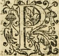 Picture 34 of 58 from Decada quarta da Asia : dos feitos que os portugueses fizeram na conquista e descobrimento das terras, & mares do Oriente : em quanto gouernaraõ a India Lopo Vaz de Saõ Payo, & parte de Nuno da Cunha (1602), leaf 261
