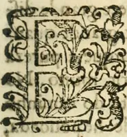 Picture 39 of 58 from Decada quarta da Asia : dos feitos que os portugueses fizeram na conquista e descobrimento das terras, & mares do Oriente : em quanto gouernaraõ a India Lopo Vaz de Saõ Payo, & parte de Nuno da Cunha (1602), leaf 306