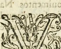 Picture 41 of 58 from Decada quarta da Asia : dos feitos que os portugueses fizeram na conquista e descobrimento das terras, & mares do Oriente : em quanto gouernaraõ a India Lopo Vaz de Saõ Payo, & parte de Nuno da Cunha (1602), leaf 316
