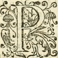 Picture 3 of 58 from Decada quarta da Asia : dos feitos que os portugueses fizeram na conquista e descobrimento das terras, & mares do Oriente : em quanto gouernaraõ a India Lopo Vaz de Saõ Payo, & parte de Nuno da Cunha (1602), leaf 32
